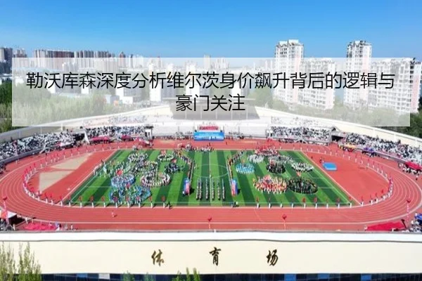 勒沃库森深度分析维尔茨身价飙升背后的逻辑与豪门关注